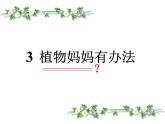 小学语文 人教2011课标版（部编） 二年级上册（2017年7月第1版） 植物妈妈有办法 课件