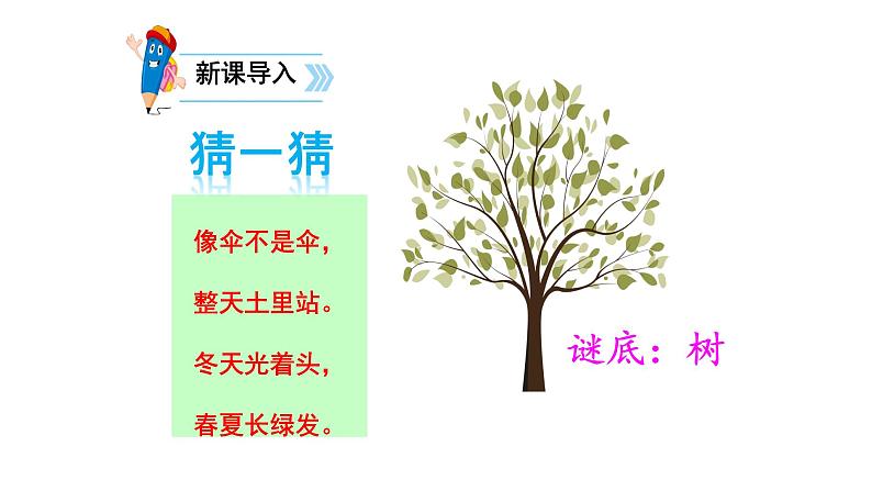 小学语文 人教2011课标版（部编）二年级上册2《树之歌》课件01
