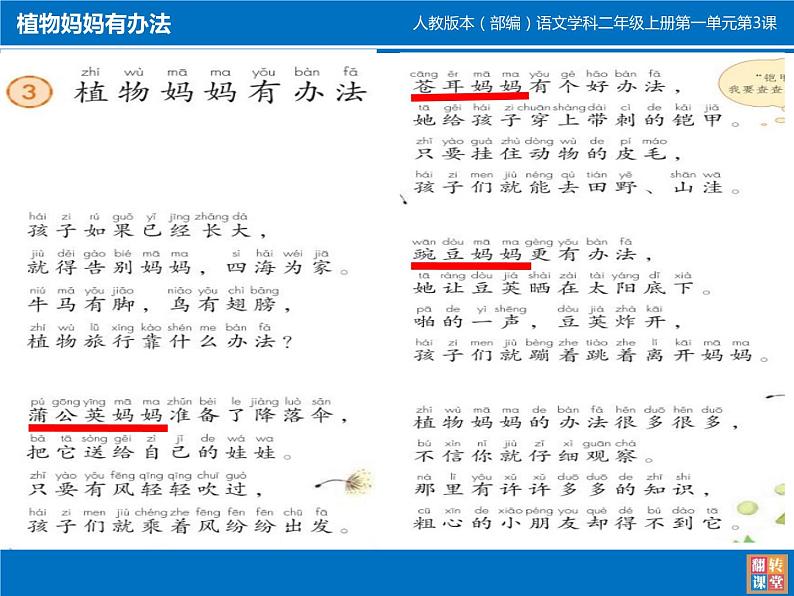 小学语文人教2011课标版（部编） 二年级上册植物妈妈有办法 课件06