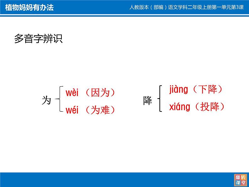 小学语文人教2011课标版（部编） 二年级上册植物妈妈有办法 课件08