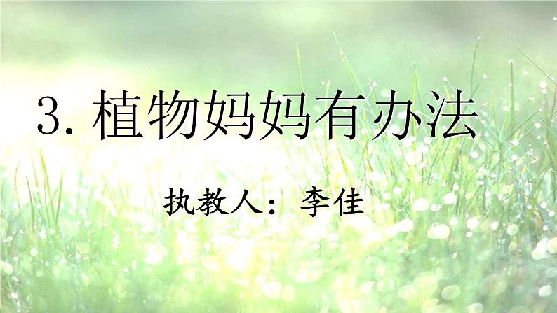 小学语文 人教2011课标版（部编） 二年级上册 植物妈妈有办法课件 课件01