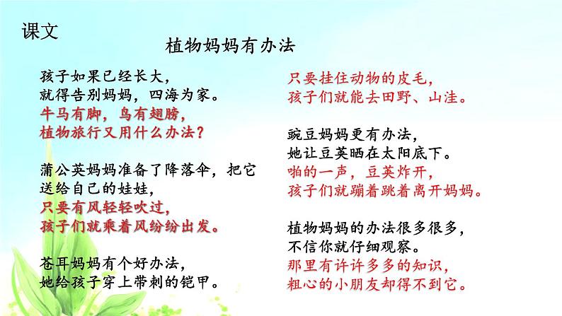 小学语文 人教2011课标版（部编） 二年级上册 植物妈妈有办法课件 课件02