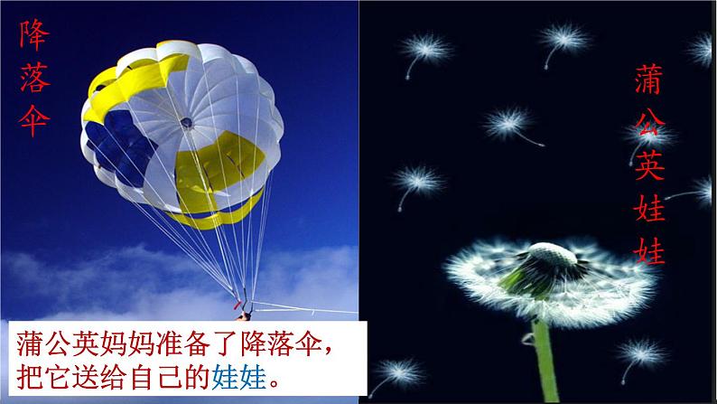 小学语文 人教2011课标版（部编） 二年级上册 植物妈妈有办法课件 课件06