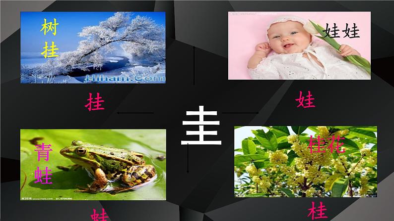 小学语文 人教2011课标版（部编） 二年级上册 植物妈妈有办法课件 课件07