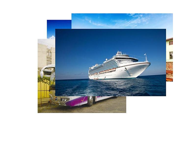 小学语文 人教2011课标版（部编） 二年级上册植物妈妈有办法 课件01