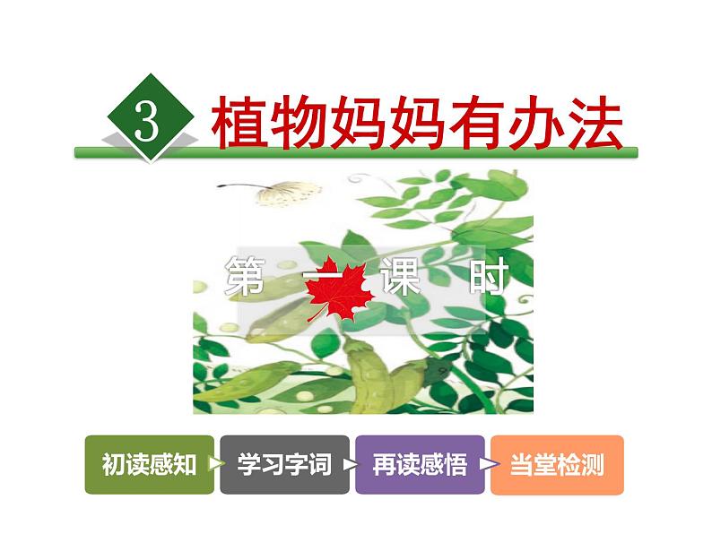 小学语文 人教2011课标版（部编） 二年级上册植物妈妈有办法 课件 课件第3页