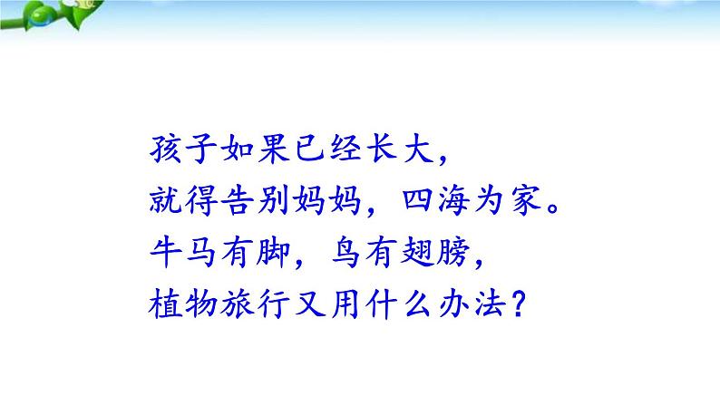 小学语文 人教2011课标版（部编） 二年级上册 植物妈妈有办法 (1) 课件06