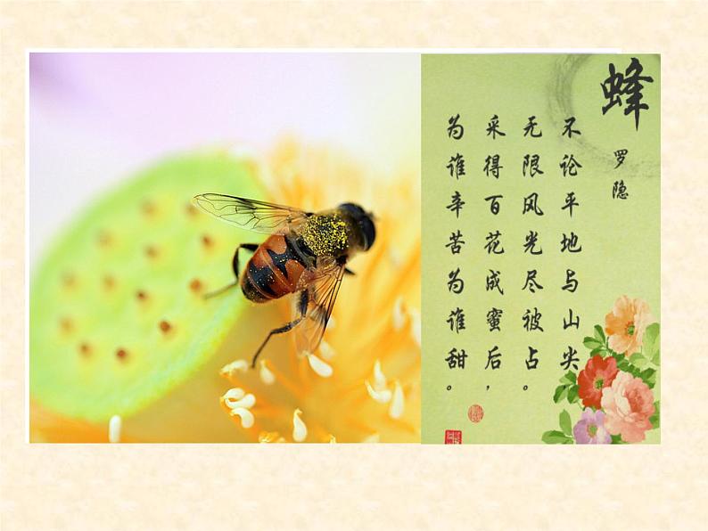 小学语文 人教2011课标版（部编） 二年级上册（2017年7月第1版）  《登鹳雀楼》ppt 课件06