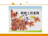 二年级下册 课件 第9课 枫树上的喜鹊 小学语文人教部编版（五四制）（2022年）