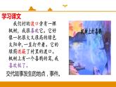 二年级下册 课件 第9课 枫树上的喜鹊 小学语文人教部编版（五四制）（2022年）