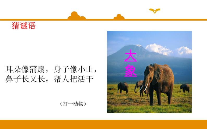 二年级下册 课件 第19课 大象的耳朵 小学语文人教部编版（五四制）（2022年）01