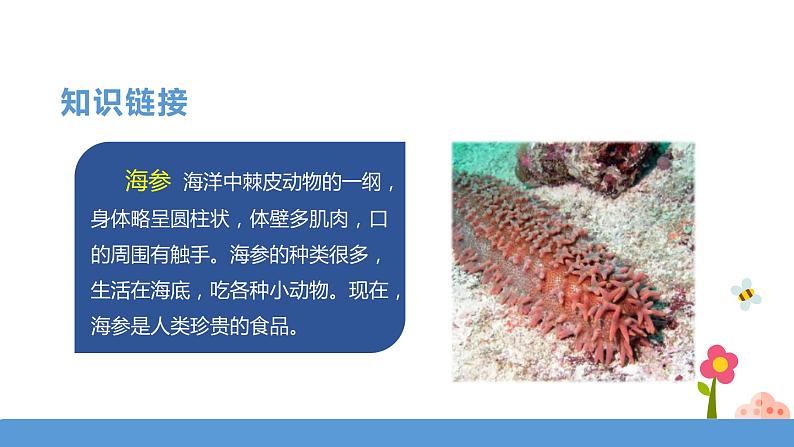 三年级下册 课件 23《海底世界》 小学语文人教部编版（五四制）（2022年）04