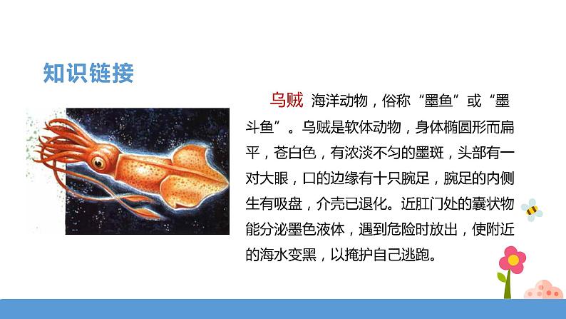 三年级下册 课件 23《海底世界》 小学语文人教部编版（五四制）（2022年）05