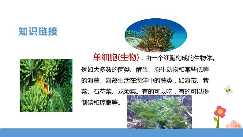 三年级下册 课件 23《海底世界》 小学语文人教部编版（五四制）（2022年）07