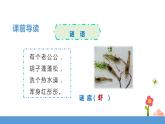 三年级下册 课件 15.小虾 小学语文人教部编版（五四制）（2022年）