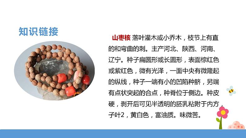 三年级下册 课件 28.《枣核》 小学语文人教部编版（五四制）（2022年）04