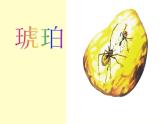 部编版小学语文四下 5琥珀 课件