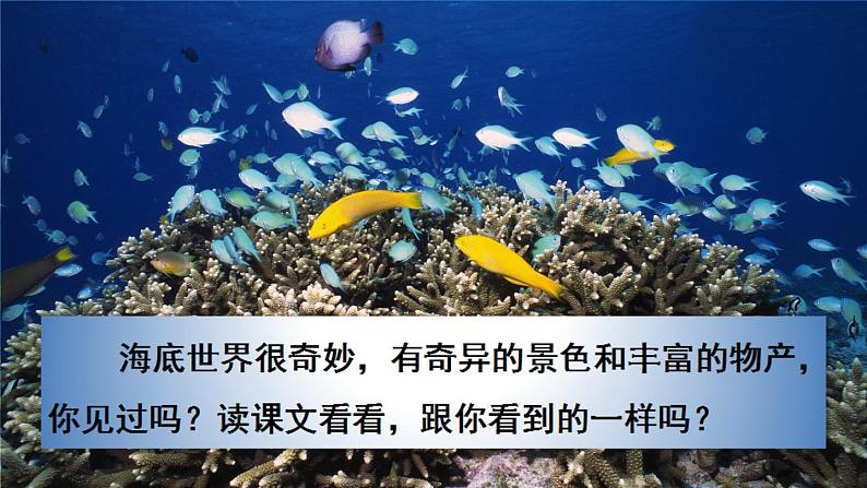 部编版三年级下册语文《海底世界》　课件04