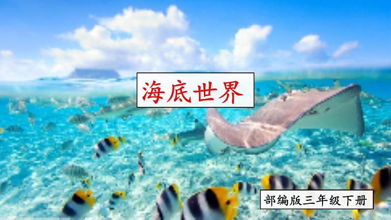 部编版三年级下册语文《海底世界》　课件05