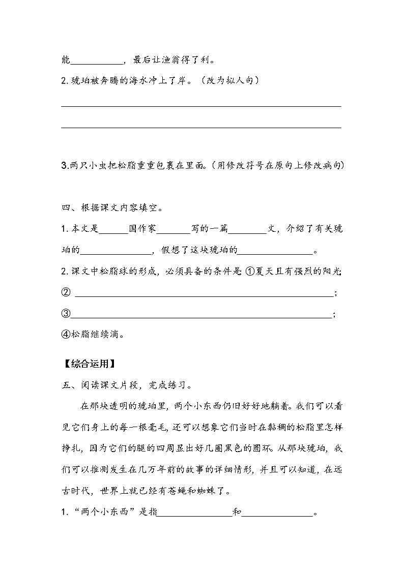 《琥珀》作业2教案第2页