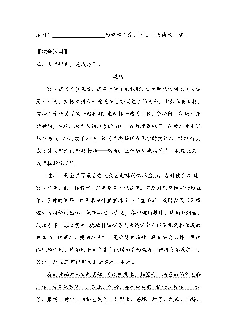 《琥珀》作业3教案第2页