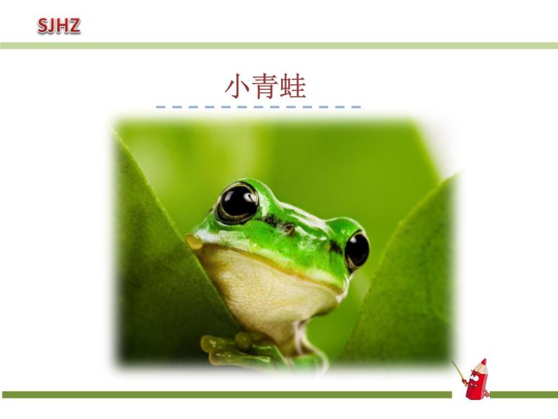 识字三小青蛙课件PPT02