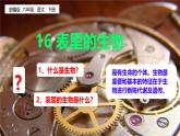 16 表里的生物 课件PPT