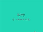 2022春四年级语文下册第六单元19小英雄雨来节选习题课件新人教版