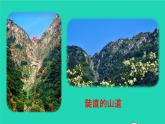 2022春四年级语文下册 第七单元 25挑山工教学课件+素材 新人教版