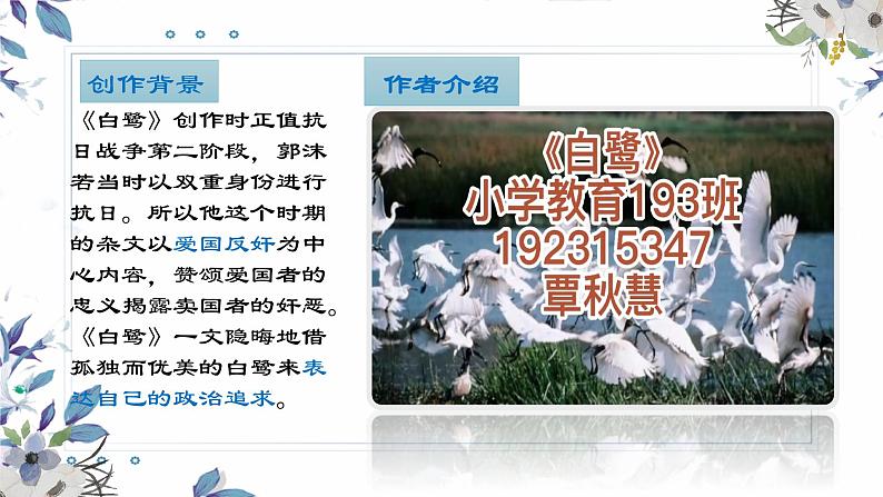 小学语文《白鹭》课件PPT第5页