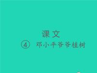 人教部编版二年级下册4 邓小平爷爷植树课文ppt课件