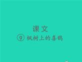 2022春二年级语文下册课文39枫树上的喜鹊习题课件新人教版(1)