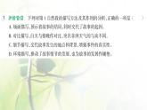 人教版語(yǔ)文五年級(jí)下冊(cè)(部編版)第六單元作業(yè)PPT課件