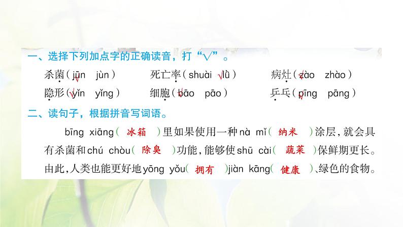 人教版语文四年级下册(部编版)第二单元作业PPT课件02