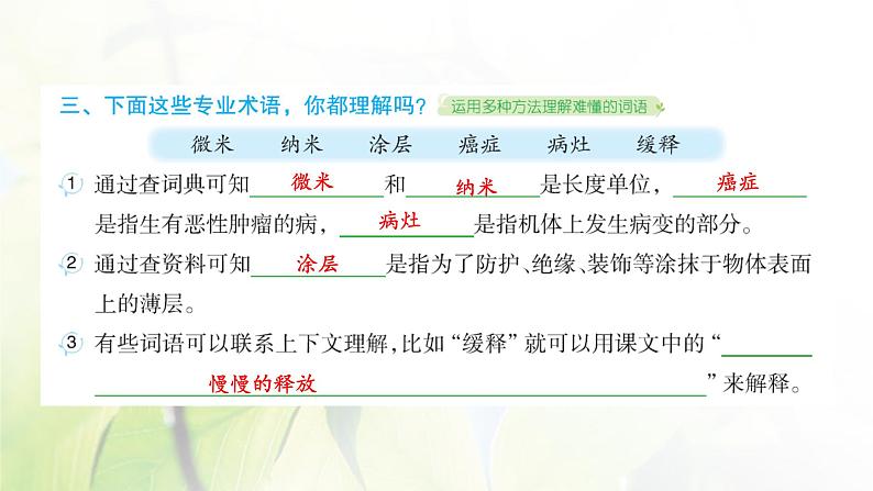 人教版语文四年级下册(部编版)第二单元作业PPT课件03