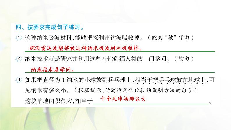 人教版语文四年级下册(部编版)第二单元作业PPT课件04