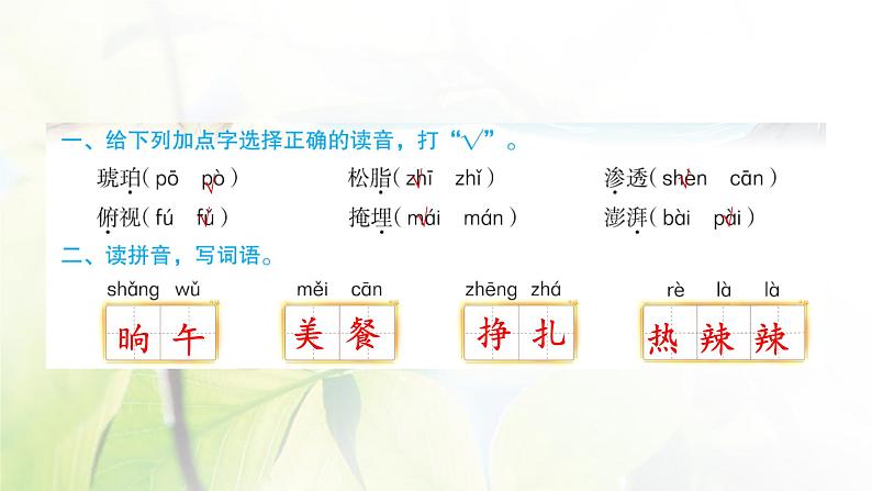 人教版语文四年级下册(部编版)第二单元作业PPT课件02