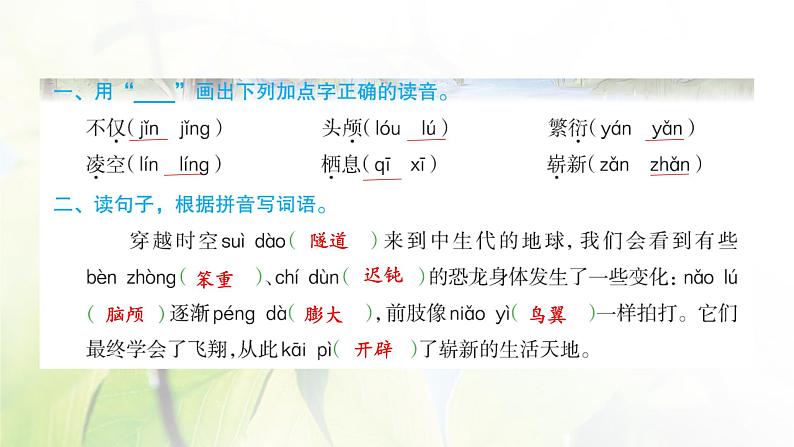 人教版语文四年级下册(部编版)第二单元作业PPT课件02