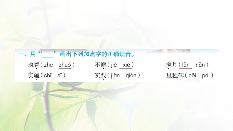 人教版语文四年级下册(部编版)第二单元作业PPT课件02