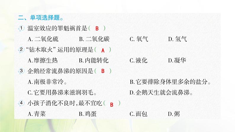 人教版语文四年级下册(部编版)第二单元作业PPT课件03