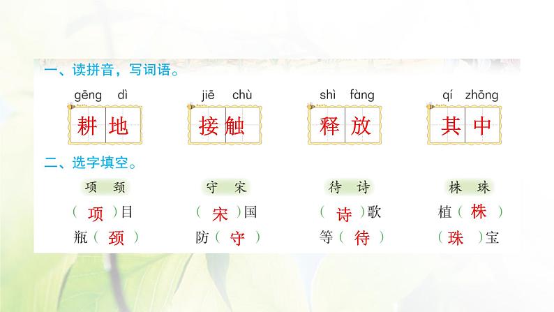 5 守株待兔作业课件第2页