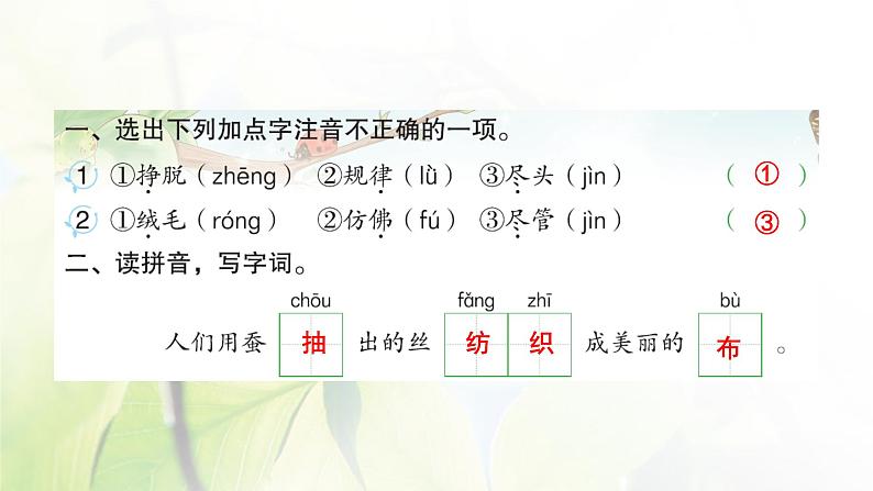 人教版语文二年级下册(部编版)第七单元作业PPT课件02