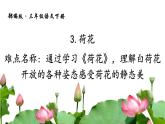 三年级语文下册微课课件-3 荷花-部编版