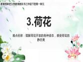 三年级语文下册课件-3 荷花11-部编版（共13张PPT）