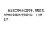 三年级语文下册课件-3 荷花  （共10张PPT）-部编版