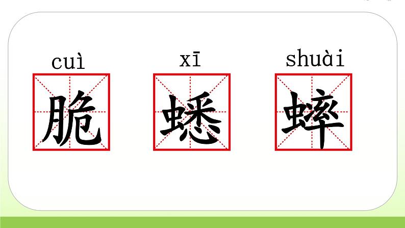 人教版语文六年级下册(部编版)16.表里的生物教学课件07