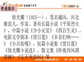 13 人物描写一组（配套课件）