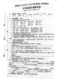 江苏省宿迁市泗阳县2021-2022学年五年级下学期期中语文试题（无答案）