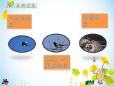 人教部编二年级语文下册   第四单元   9 枫树上的喜鹊 课件1