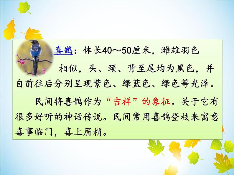 人教部编二年级语文下册   第四单元   9 枫树上的喜鹊 课件104